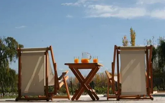 Postales by DOT Boutique