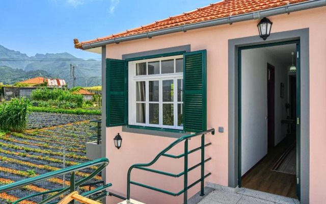 Os Ferreirinhos a Home in Madeira