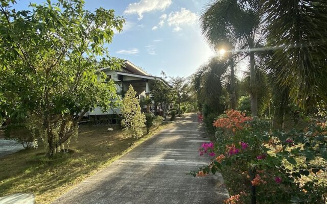 Brown Andaman  Krabi