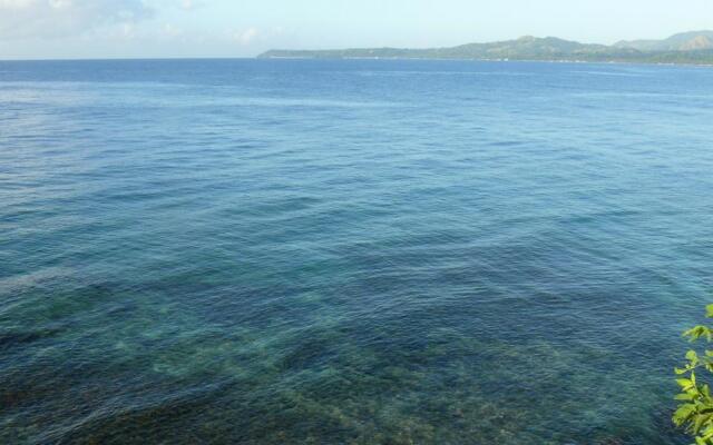 Bohol Lahoy Dive Resort