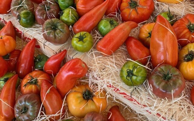 La Cigale Varoise - Hyères La Plage