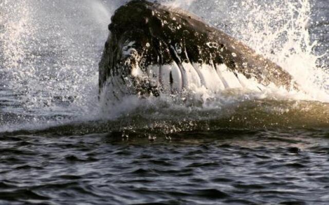 The Convent Guesthouse