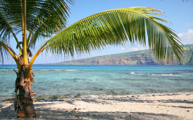 Wai'ula'ula D201 by RedAwning