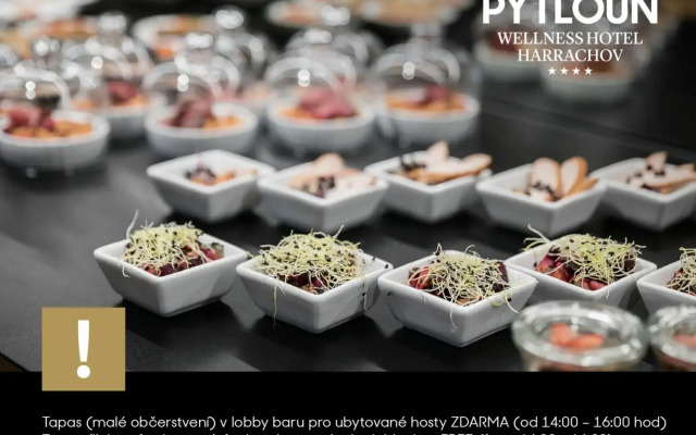 Pytloun Wellness Hotel Harrachov