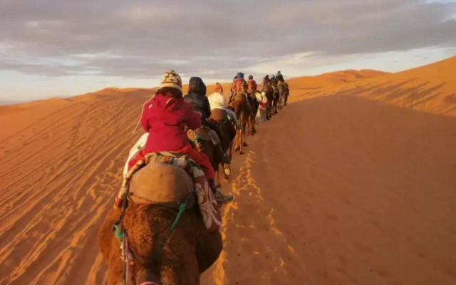 Camel Trek Bivouac