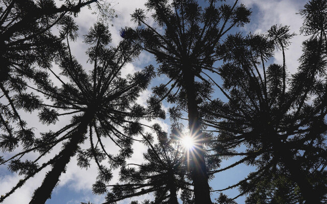 Belíssima casa duplex com lareira em Canela GRA173