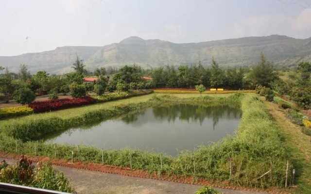 The Ark Wellness Retreat