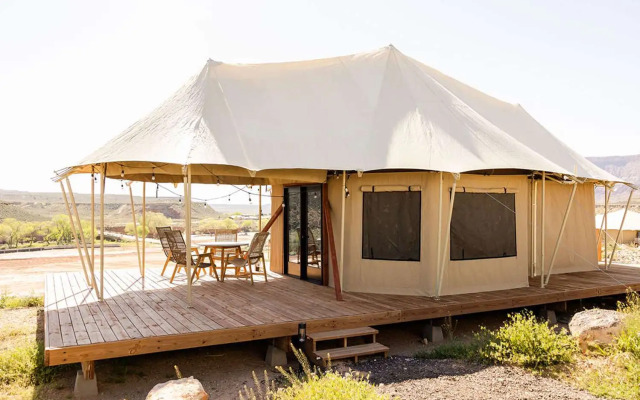 Zion Wildflower, BW Premier Collection