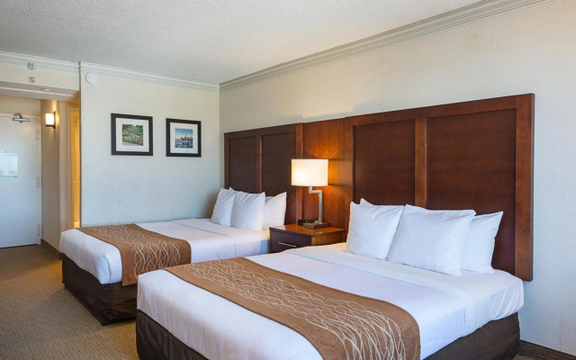 Comfort Inn by the Bay