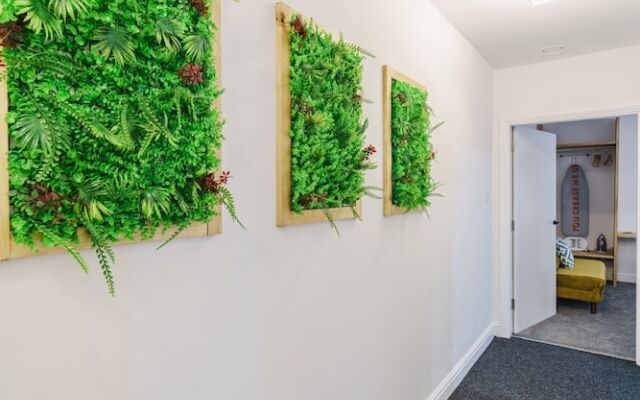 Deluxe Studio Apartments