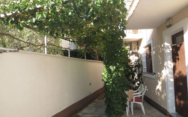 Apartment Ena - near marina "Kornati": A1 Biograd, Riviera Biograd