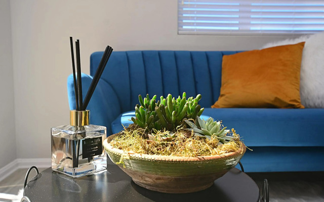 Modern Studio Apartment in Blouberg