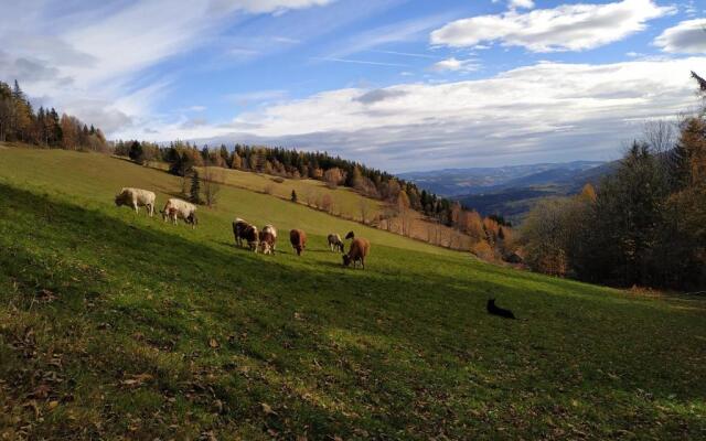 Almbauer Morgenbesser