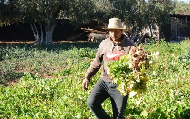 Ferme D'hôte Eco Farm Tayssir