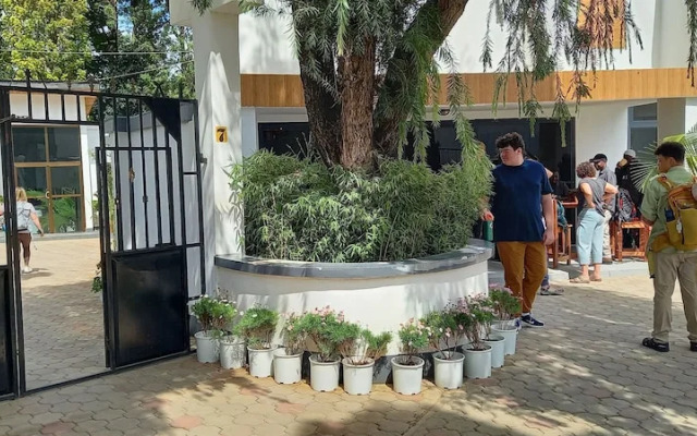Didas Villa