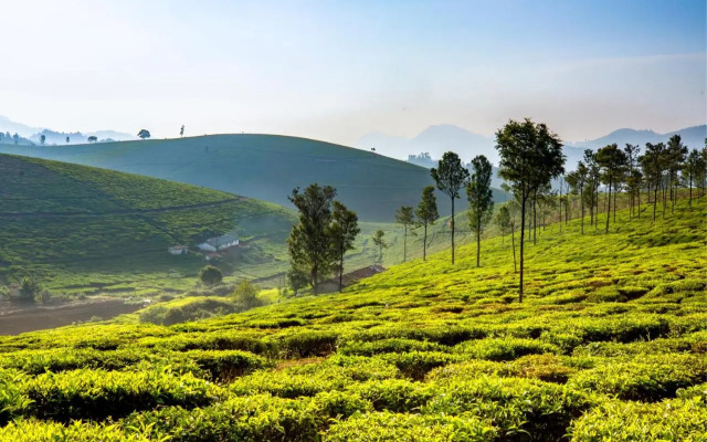 Saffronstays Coonoor Aurora Estate