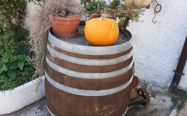 Pier delle Vigne B&B