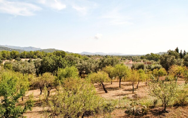 Modern Mansion in Selva With Private Pool