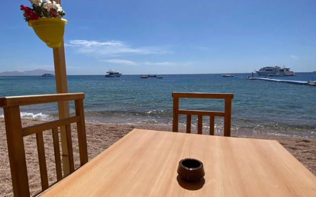 Shark's bay oasis 2 bedrooms apartment