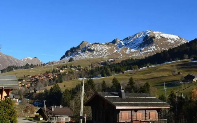 Appartement Le Grand-Bornand, 1 pièce, 4 personnes - FR-1-241-176