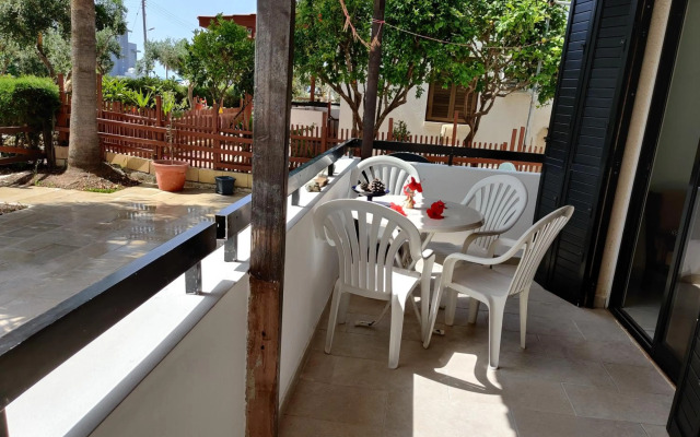 Palm garden paradise