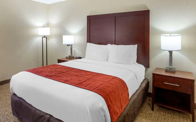 Comfort Inn Hoffman Estates - Schaumburg