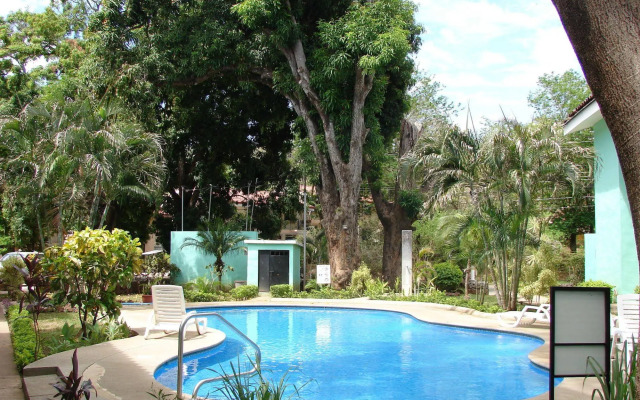 Green Forest of Coco Beach Studios