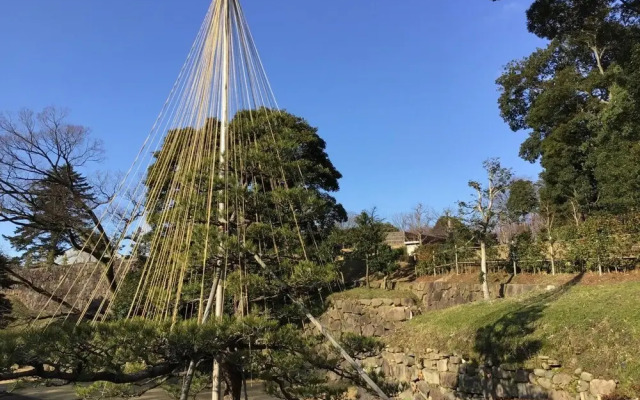 TOWN HOTEL Forty One