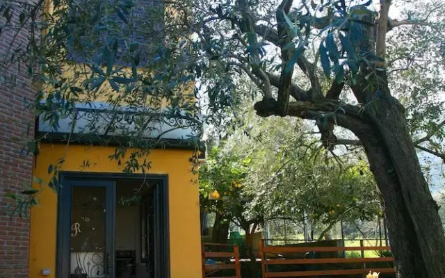 Villa C Luxury Estate