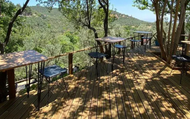 The Lion Inn Kazdaglari