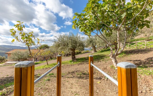 Rocca di Mezzogiorno - Fiordaliso
