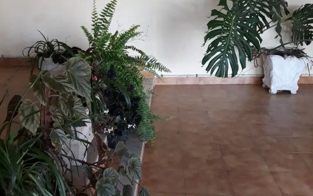 Quinta dos Templários