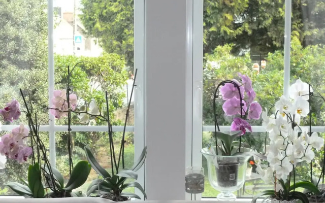 Château Bily Chambres d'hôtes