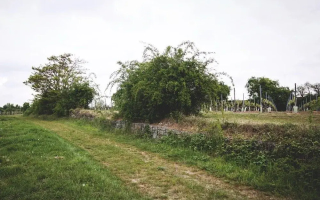 Weingut & Landhotel Lucashof