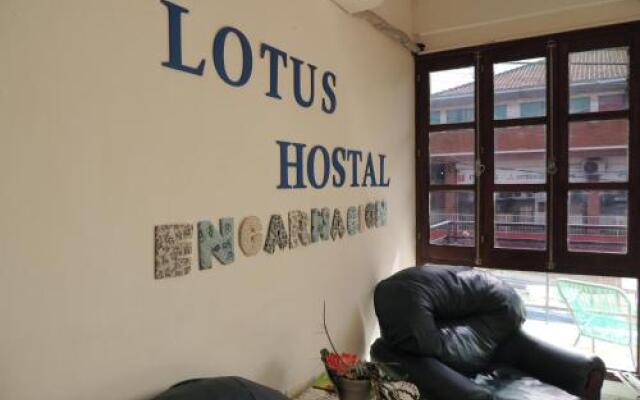Lotus Hostal