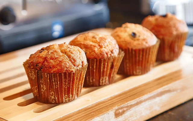 Best Western Inn & Suites Rutland-Killington