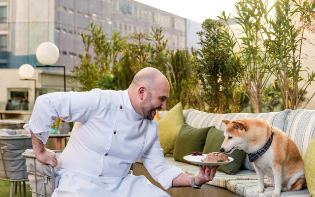 Andaz Condesa Mexico City, By Hyatt