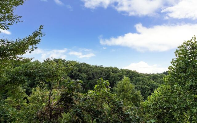 Pappy's Peak 2 Bedroom Cabin by RedAwning