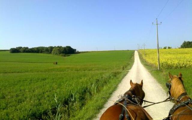 La Giuiaia - Agriturismo Azienda Agricola