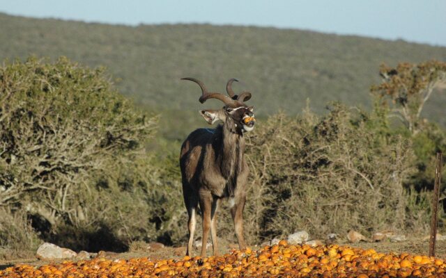 Valley Bushveld Country Lodge