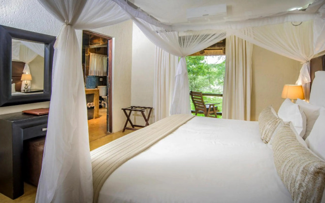 Karongwe- Shiduli Safari Lodge