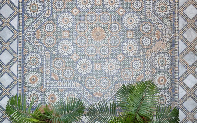 Riad Idrissy