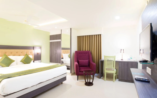 Treebo Trend Olive Tree