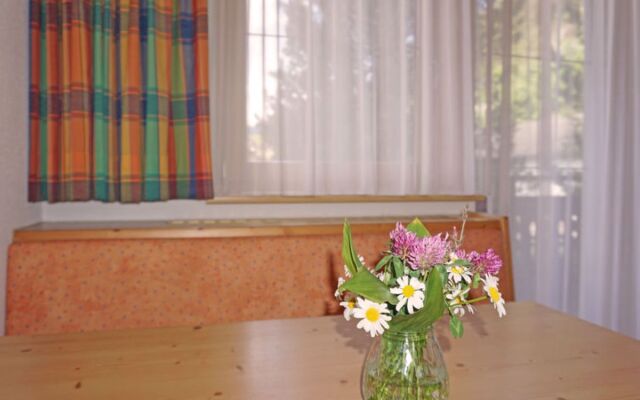Apartment Diana Pettneu am Arlberg 14008