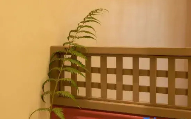 Yuebo Qicheng·Cultural Accommodation (Zhangzhou Gucheng Branch)