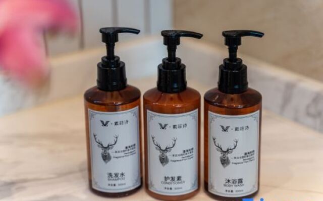 Vienna International Hotel (Maanshan Dangtu)