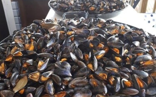 Camping de la Tête Noire