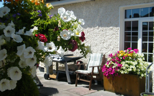Almanii B&B
