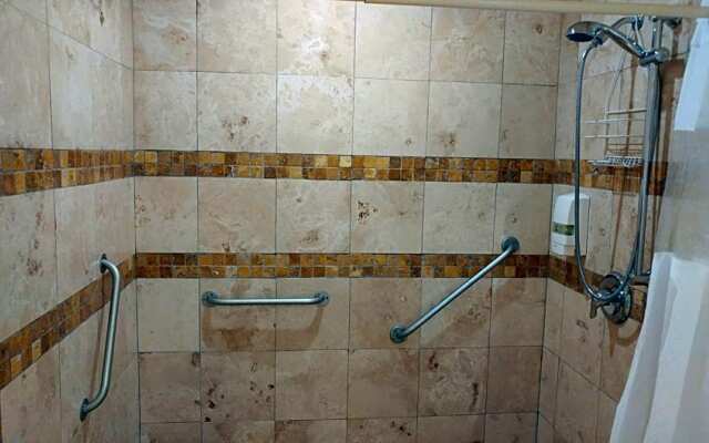 Lionheart Guesthouse and B&B