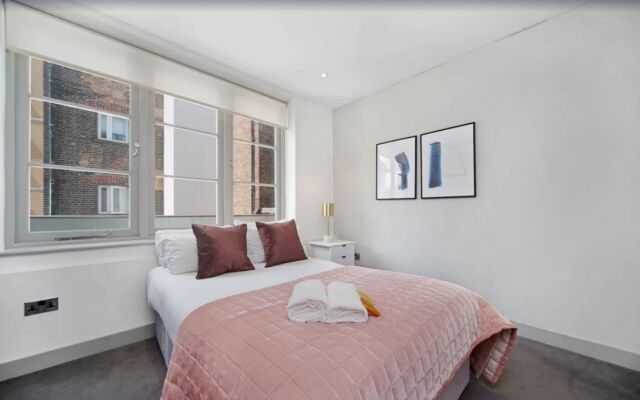 Luxurious Big Ben Apartment - City Stay London